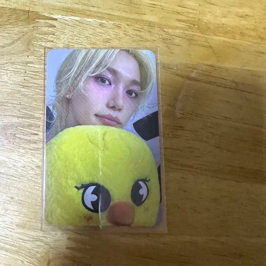 스키즈 필릭스 도미네이트 팝업 구매 포카