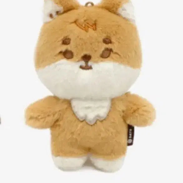 데이식스 데니멀즈 케