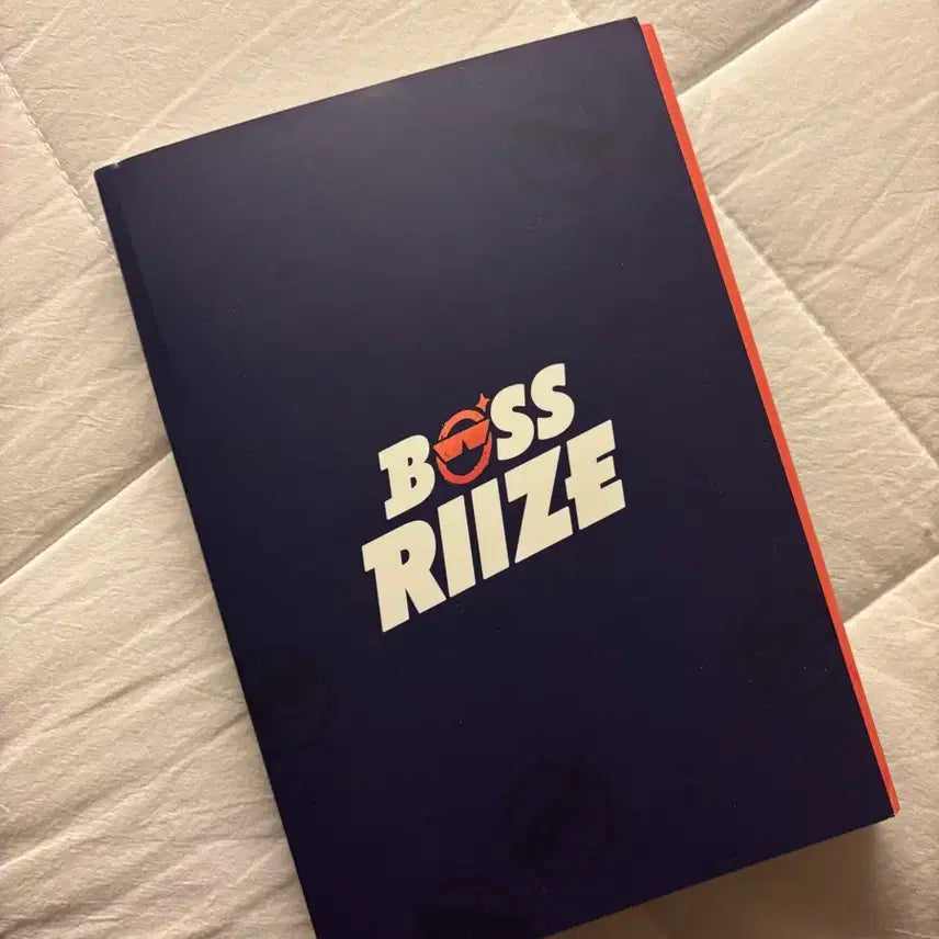 라이즈 보스라이즈 엽서북 양도