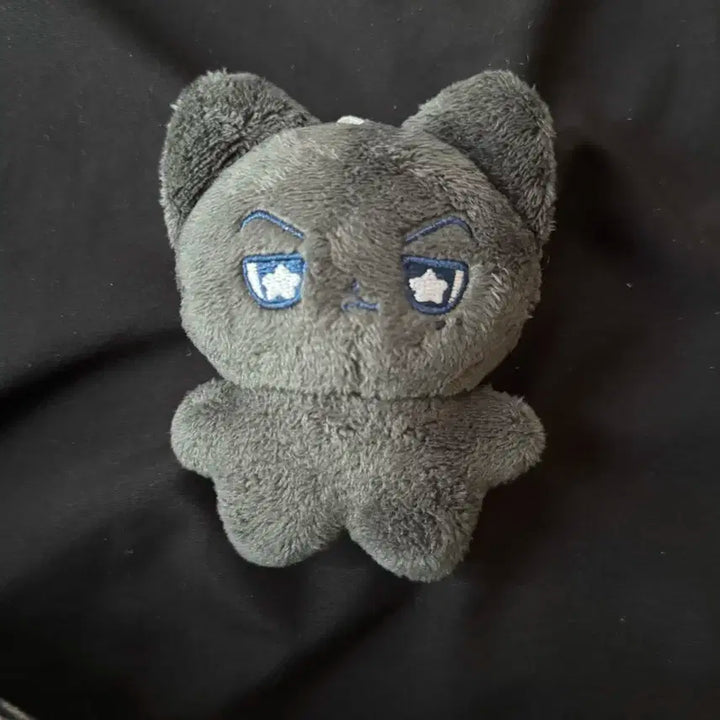 엔하이픈 제이 인형