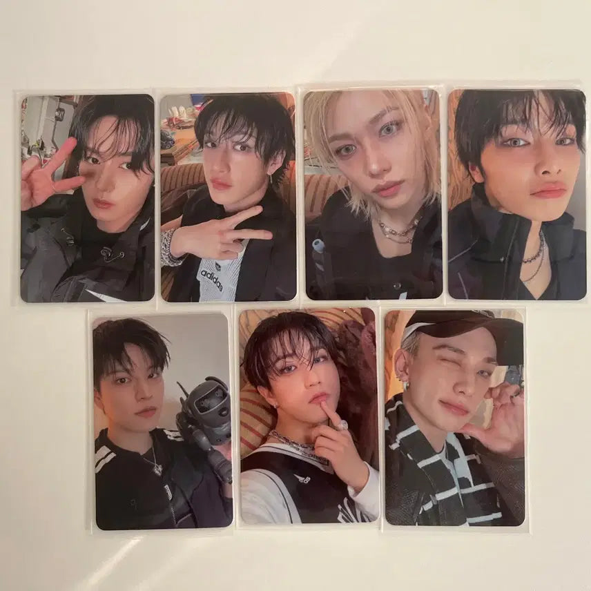 스키즈 KARMA 카르마 포카 일괄