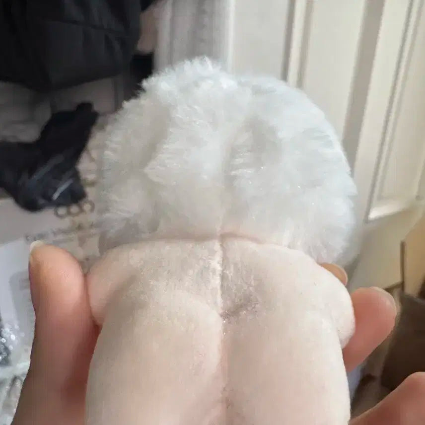 엔하이픈 김선우 속성 10cm 솜인형