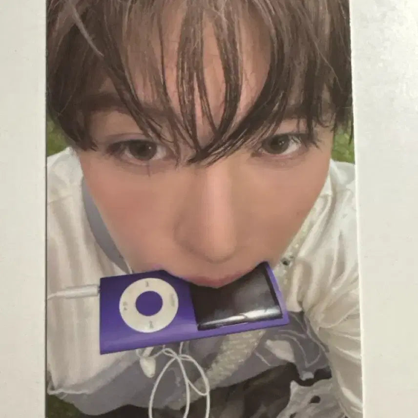 시온 서프 쥬얼앨범 포카