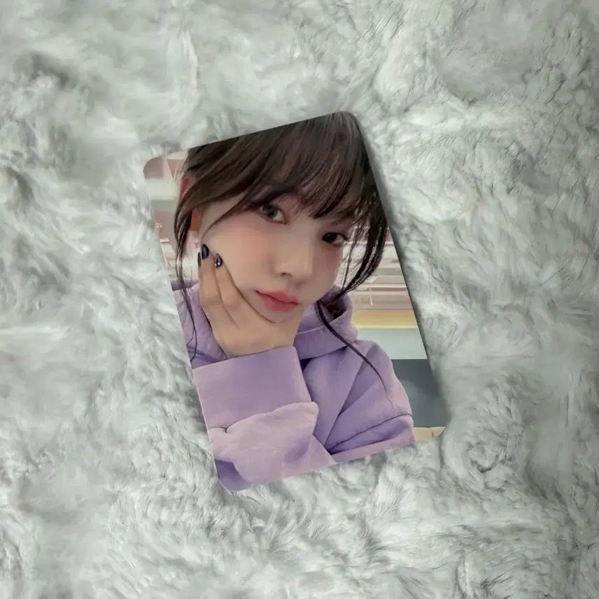 드라마 인터아시아 카리나 양도