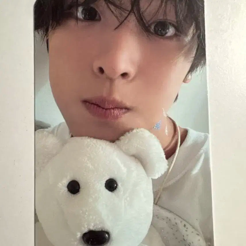 스테디 앨범 리쿠 포카