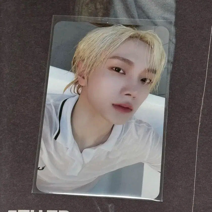 보이넥스트도어 보넥도 디액션 로딩 성호 포카 양도 판매