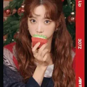 아르테미스 김립 오브젝트 C307 크리스마스