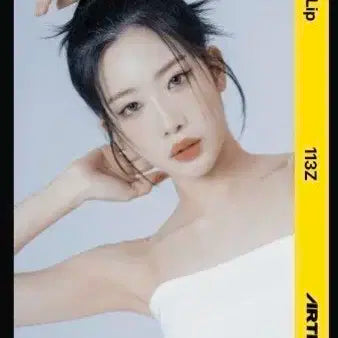 아르테미스 김립 오브젝트 A113