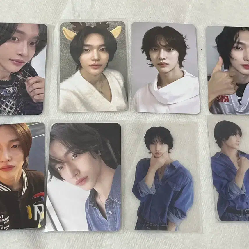 라이즈 원빈포카 일괄 (시그, 트레카, 앨포, 생일, 핑크 크리스마스)