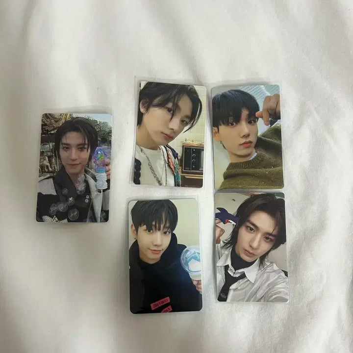 보이넥스트도어 포토카드+성호 케이스 일괄