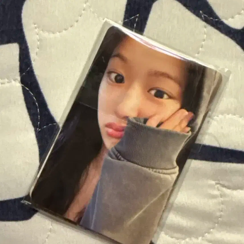 다이브존 2일차 포카 일괄