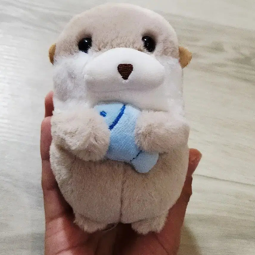 디노 수달인형 판매 합니다