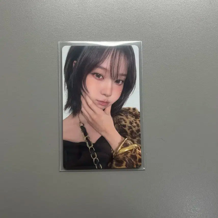 에스파 포카 윈터 포카