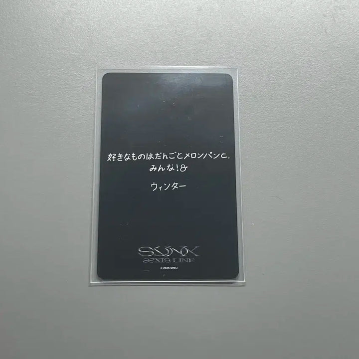 에스파 포카 윈터 포카