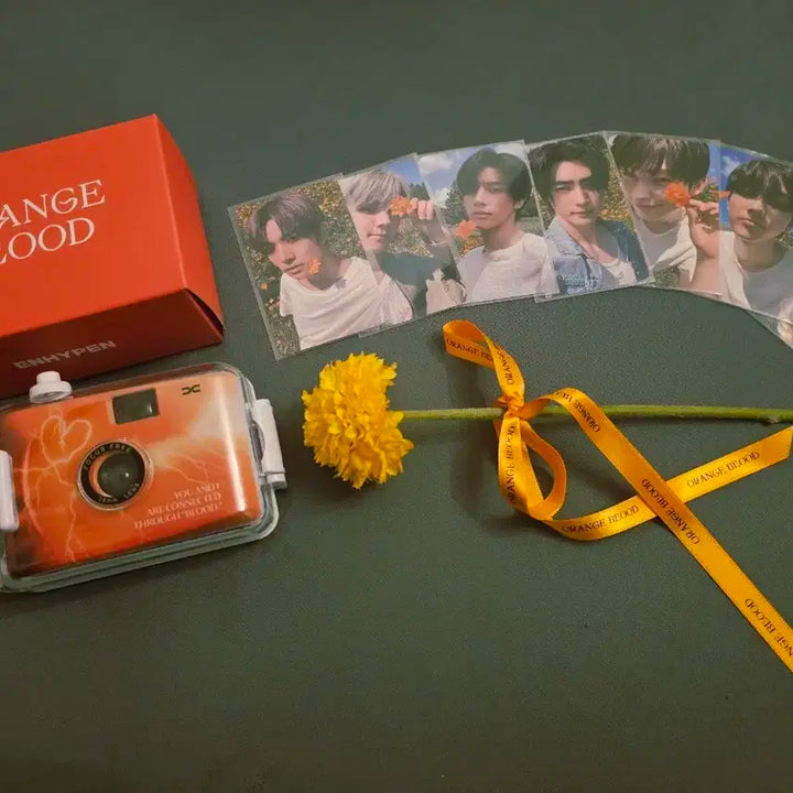 엔하이픈 오렌지블러드 엔커넥트 나잇 역조공 세트