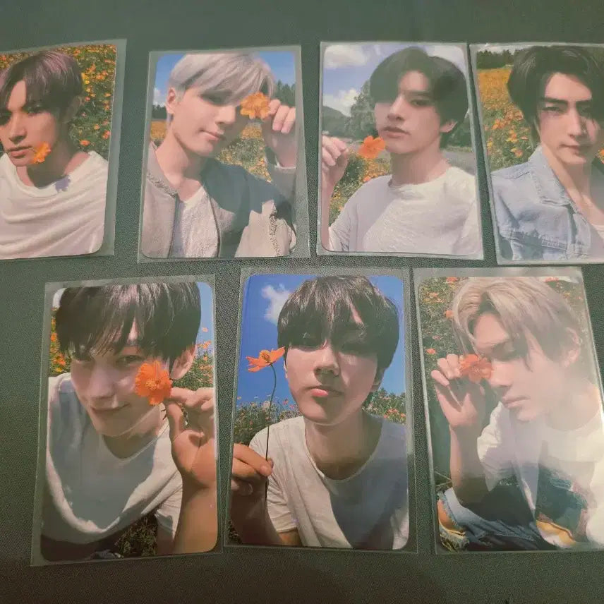 엔하이픈 오렌지블러드 엔커넥트 나잇 역조공 세트