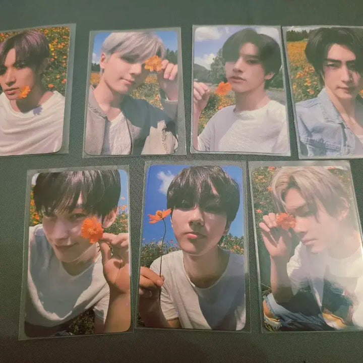 엔하이픈 오렌지블러드 엔커넥트 나잇 역조공 세트