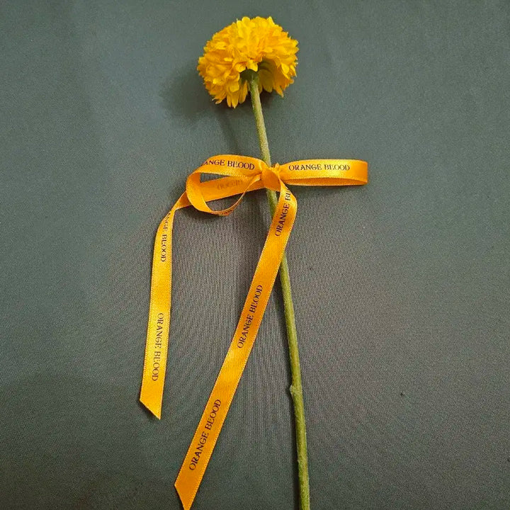 엔하이픈 오렌지블러드 엔커넥트 나잇 역조공 세트