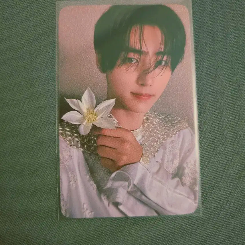 엔하이픈 오렌지블러드 성훈 공방 포카