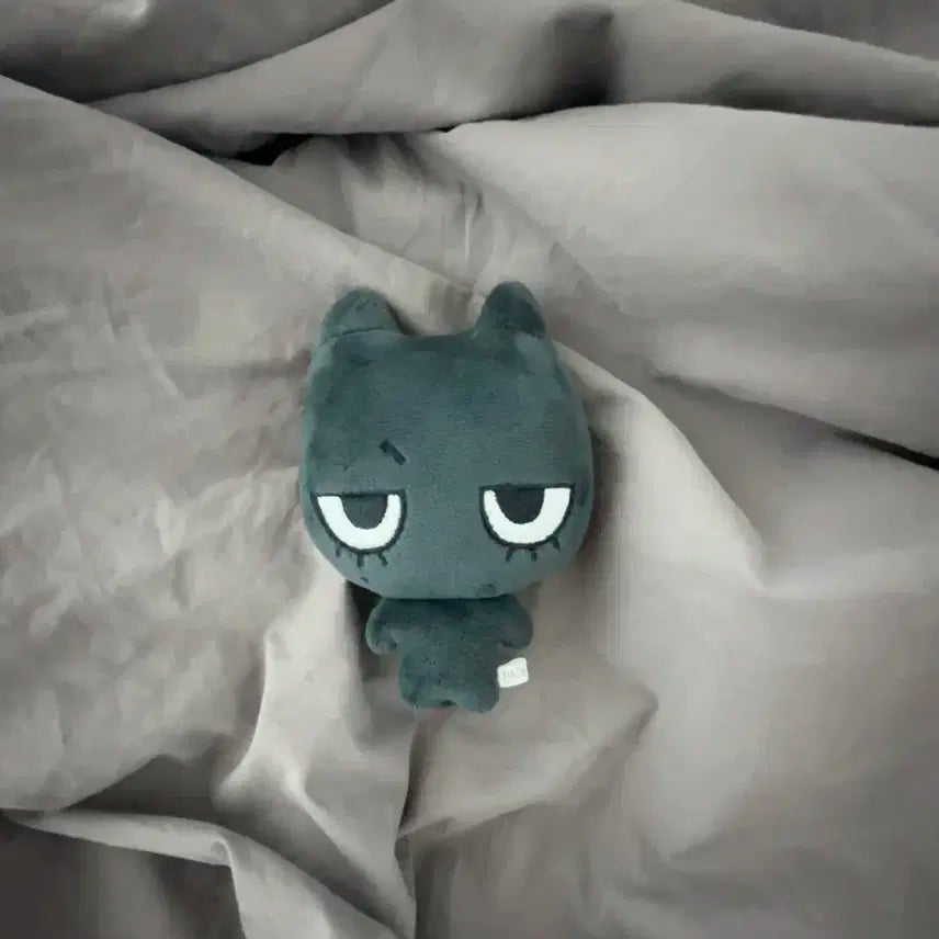 보이넥스트도어 태산 비공굿 인형 <태냐코>