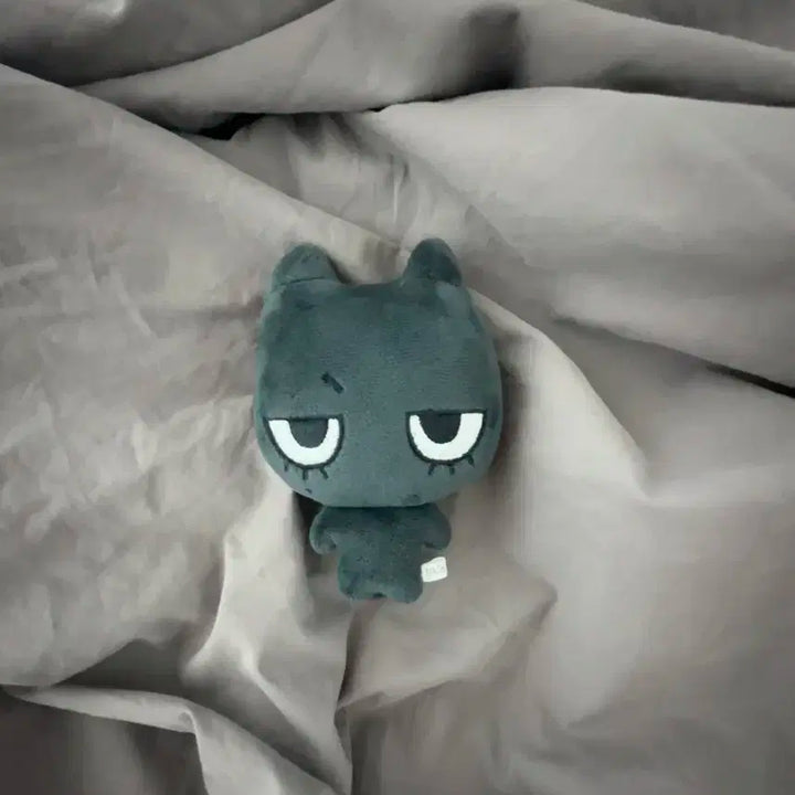 보이넥스트도어 태산 비공굿 인형 <태냐코>