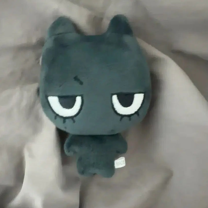 보이넥스트도어 태산 비공굿 인형 <태냐코>