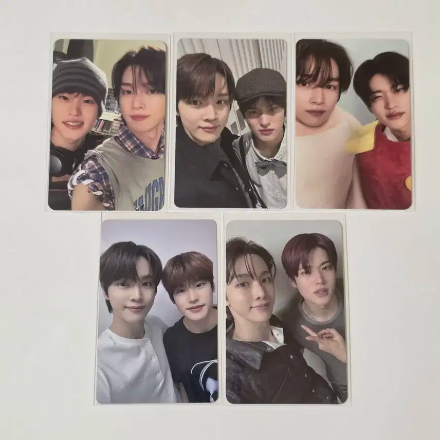 일괄)라이즈 성찬 소희 밤똘즈 유닛 포토카드