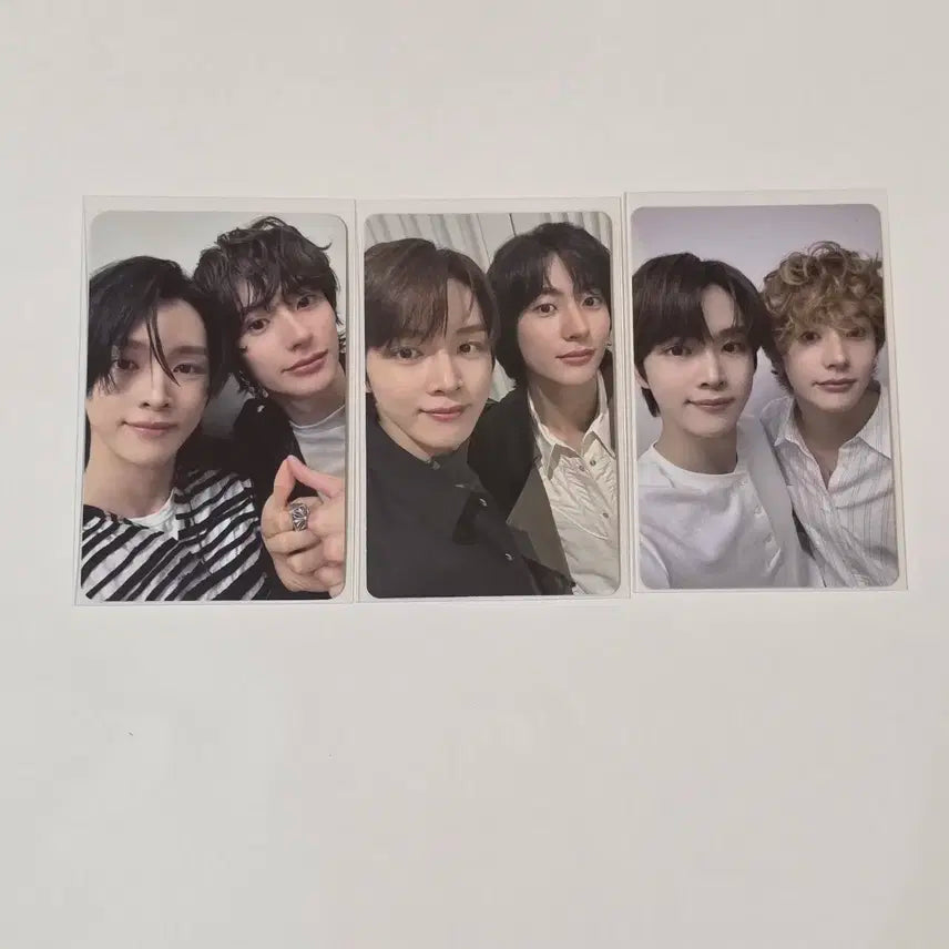 일괄) 라이즈 성찬 앤톤 성찬영 유닛 포토카드