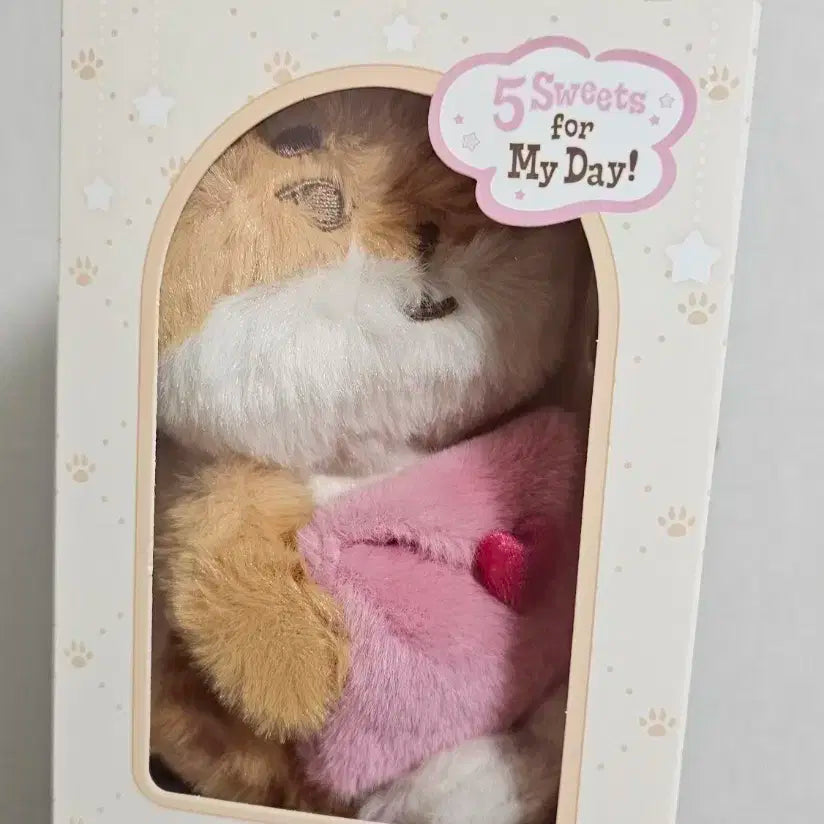 데이식스 케 보이스키링