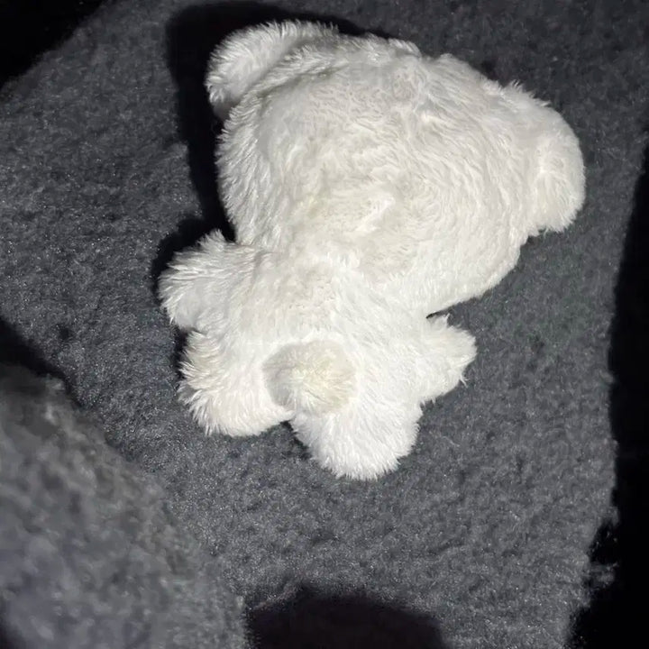 CIX 씨아이엑스 용희 인형 멍뮹히