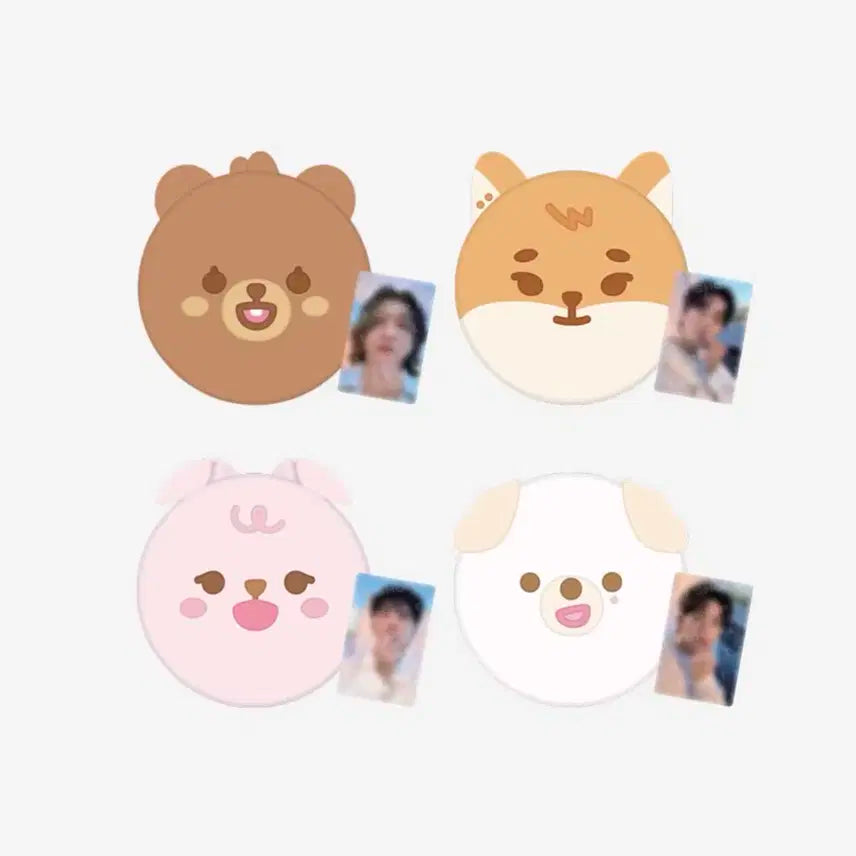 데이식스 쁘띠멀즈 방석 일괄 판매