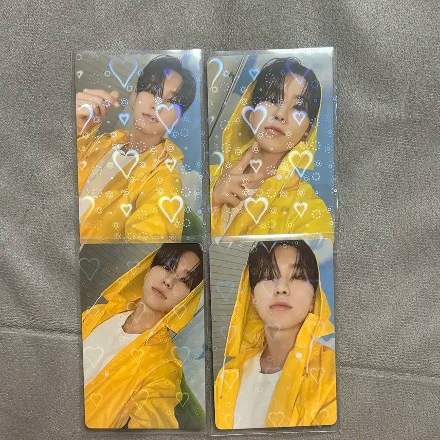 세븐틴 호시 캐럿반 포카일괄