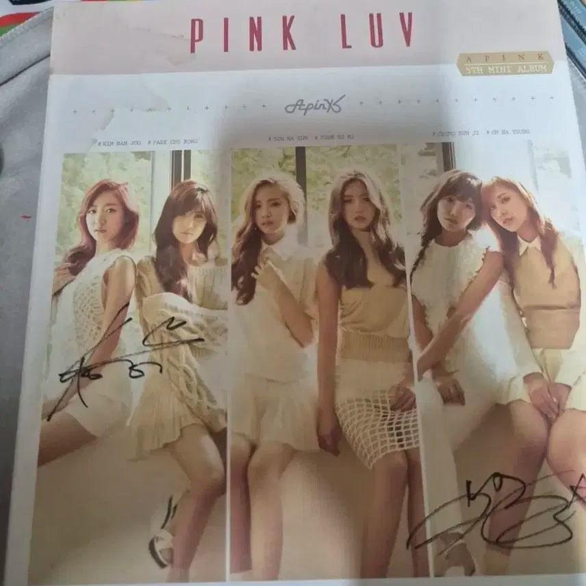 에이핑크 Pink LUV 앨범 (싸인반)