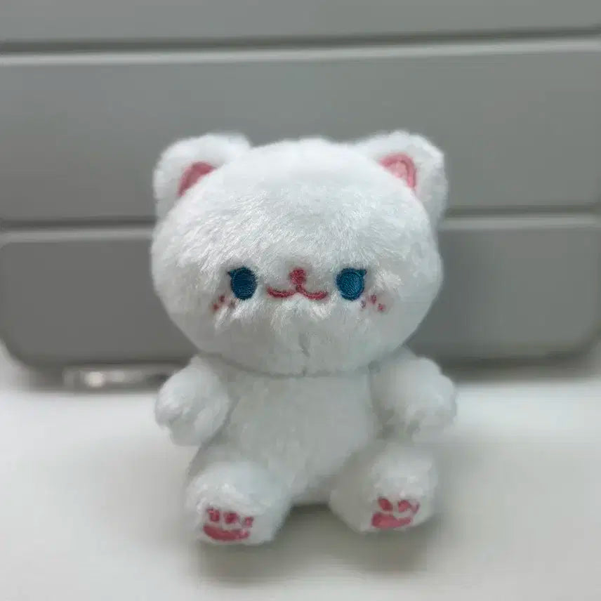 스키즈 필릭스 인형 플러피뽁 양도