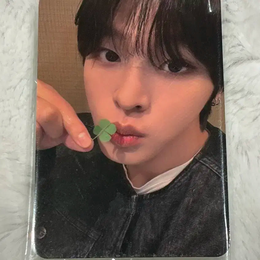 엔시티위시 nct wish 컬러 케타포 미공포 럭드 2차 리쿠 포카