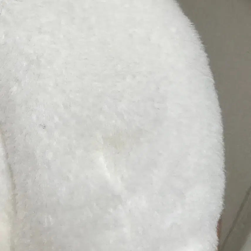 데이식스 데니멀즈 돈 케이프 판매