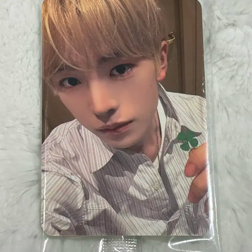 엔시티위시 nct wish 컬러 케타포 미공포 럭드 2차 유우시 포카