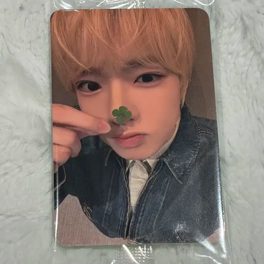 엔시티위시 nct wish 컬러 케타포 미공포 럭드 2차 사쿠야 포카