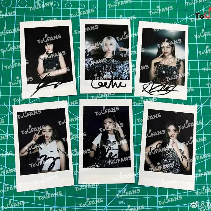 아이브 가을 앺라 애프터라이크 투유 당첨자 인쇄 싸폴 싸인 폴라로이드