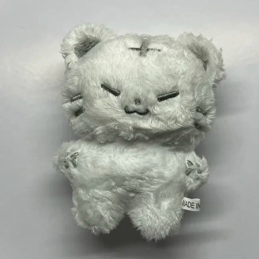 호찌 양도합니다