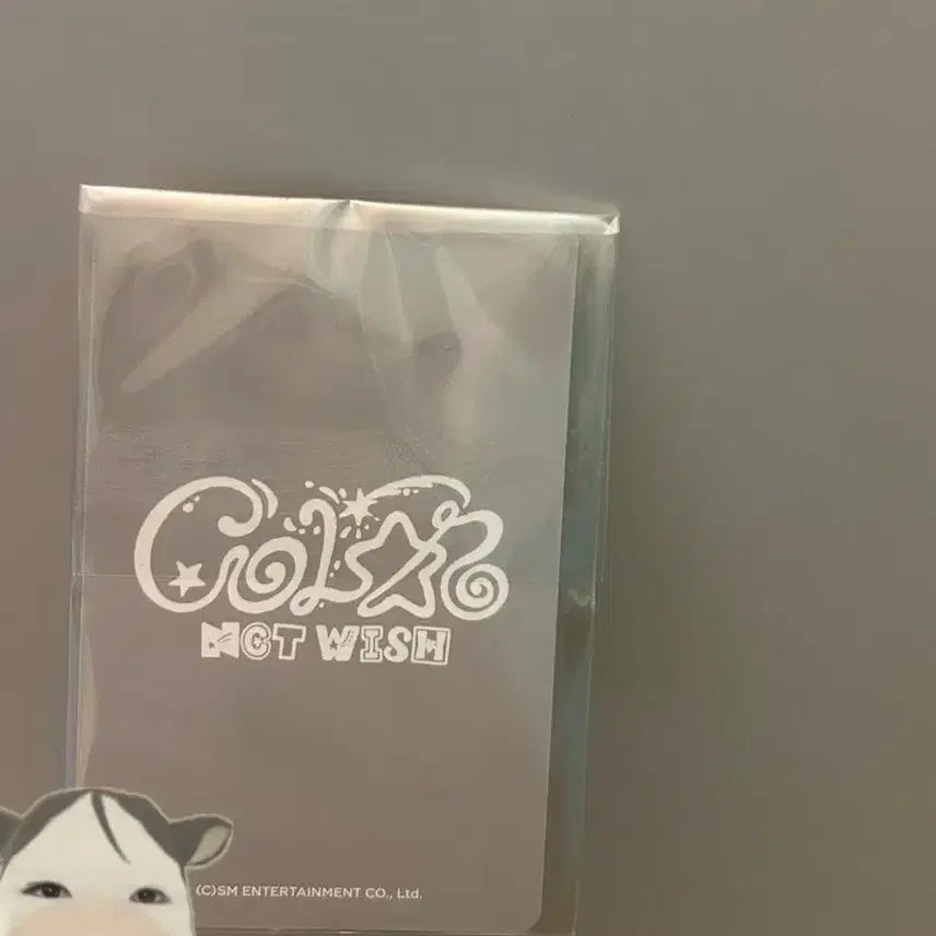 엔시티 위시 재희 5만원 포카