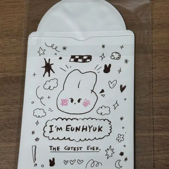 슈퍼주니어 은혁 토끼 바인더