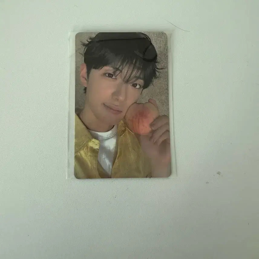 정상현 포토카드 아카이브 복숭아 양도 전시회 알디원 보플