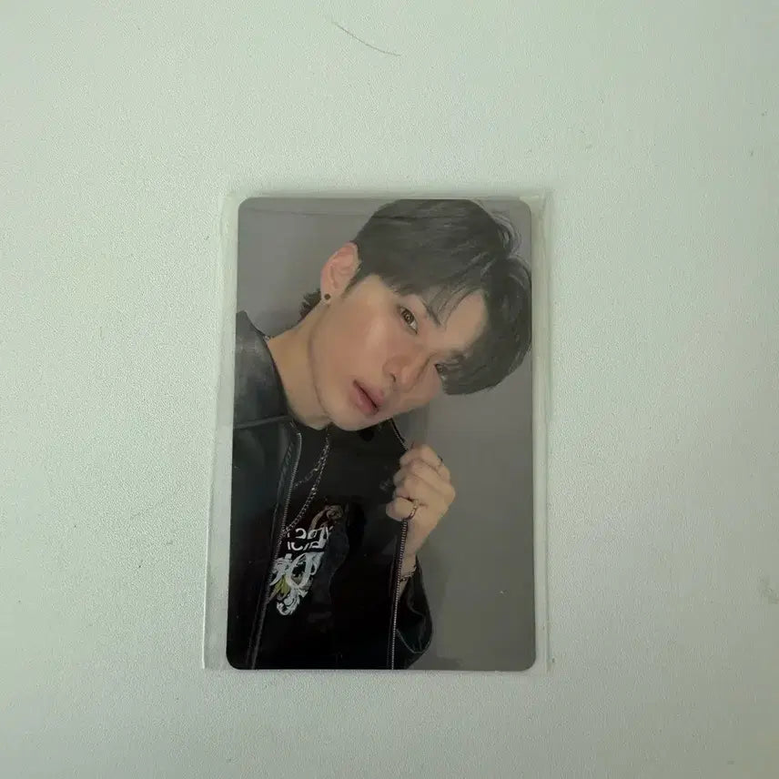 보플 정상현 포토카드 포카 알디원 보플 양도