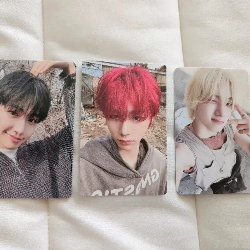 일괄 보넥도 앨포 포토카드