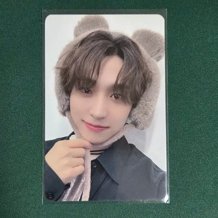 더보이즈 상연 포카 양도