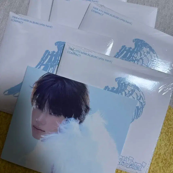 투어스 팬플리 포카세트