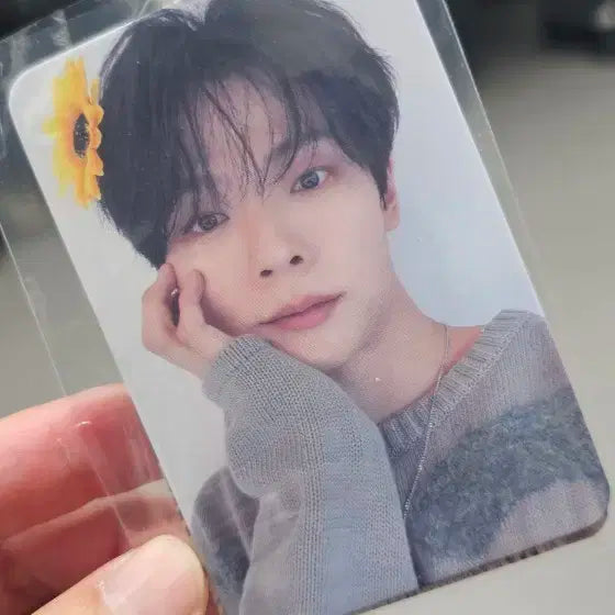 루시 콘서트 MD포카 예찬