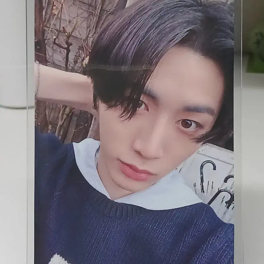 보이그룹 멤버 포토카드