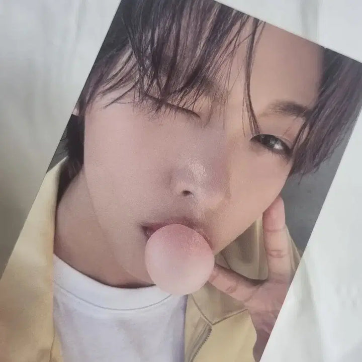 엔시티위시 팝츄 인형 앨범 리쿠 포카 재희 띠부 풀구성